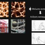 Οστεοπόρωση και κατάγματα ισχίου